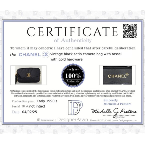 CHANEL Quilted Satin Camera Bag with Bijoux Chain - Picture 16 of 16